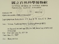登錄號:F0022146藏品圖，第2張
