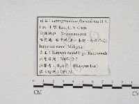 登錄號:F0022146藏品圖，第3張