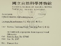 登錄號:F0022148藏品圖，第2張