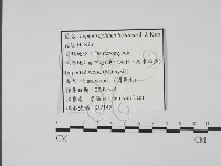 登錄號:F0022148藏品圖，第3張
