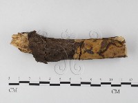 登錄號:F0022150藏品圖，第1張