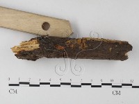 登錄號:F0022150藏品圖，第3張