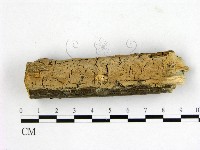 登錄號:F0022151藏品圖，第1張