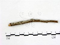 登錄號:F0022152藏品圖，第1張