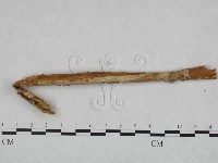 登錄號:F0022153藏品圖，第1張