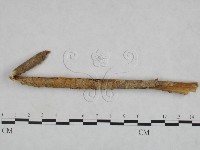 登錄號:F0022153藏品圖，第3張