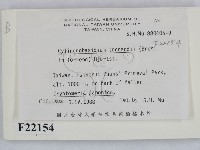 登錄號:F0022154藏品圖，第2張