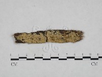 登錄號:F0022154藏品圖，第1張