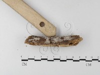 登錄號:F0022155藏品圖，第1張