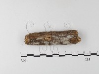 登錄號:F0022155藏品圖，第3張