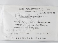 登錄號:F0022156藏品圖，第2張