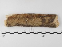 登錄號:F0022156藏品圖，第1張