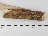 登錄號:F0022156藏品圖，第3張