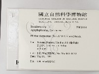 登錄號:F0022158藏品圖，第2張