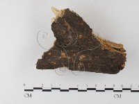 登錄號:F0022158藏品圖，第1張