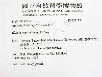 登錄號:F0022159藏品圖，第2張