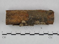 登錄號:F0022160藏品圖，第3張