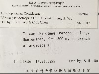 雲南無扣菌藏品圖，第2張