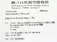 登錄號:F0022164藏品圖，第2張