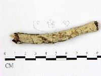 登錄號:F0022164藏品圖，第1張