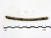 登錄號:F0022165藏品圖，第1張