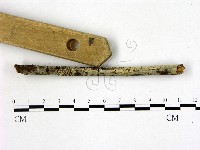 登錄號:F0022165藏品圖，第3張