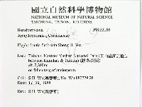 登錄號:F0022166藏品圖，第2張