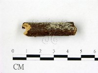 登錄號:F0022166藏品圖，第1張