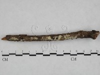 登錄號:F0022167藏品圖，第1張