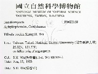 登錄號:F0022168藏品圖，第2張