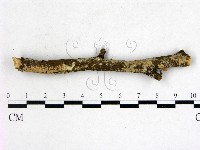 登錄號:F0022168藏品圖，第1張