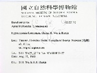 登錄號:F0022170藏品圖，第2張