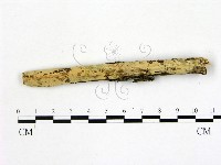 登錄號:F0022170藏品圖，第1張