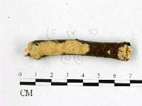 登錄號:F0022171藏品圖，第1張