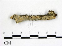 登錄號:F0022172藏品圖，第1張