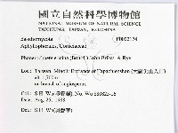 登錄號:F0022174藏品圖，第2張