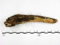 登錄號:F0022174藏品圖，第1張
