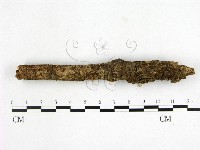 登錄號:F0022175藏品圖，第1張