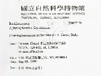 登錄號:F0022176藏品圖，第2張