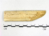 登錄號:F0022176藏品圖，第3張