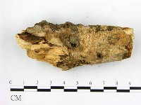 登錄號:F0022179藏品圖，第1張