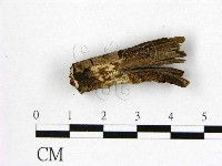 登錄號:F0022181藏品圖，第1張