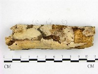 登錄號:F0022182藏品圖，第1張