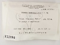 登錄號:F0022184藏品圖，第2張