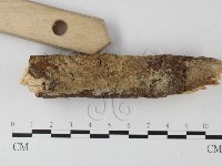 登錄號:F0022184藏品圖，第4張