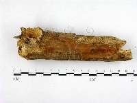 登錄號:F0022186藏品圖，第1張