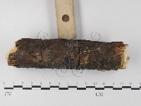 登錄號:F0022188藏品圖，第1張