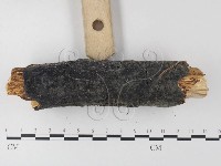 登錄號:F0022188藏品圖，第3張
