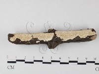 登錄號:F0022189藏品圖，第1張