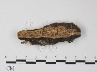 登錄號:F0022191藏品圖，第1張